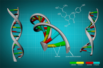 3D DNA rendering in MAYA